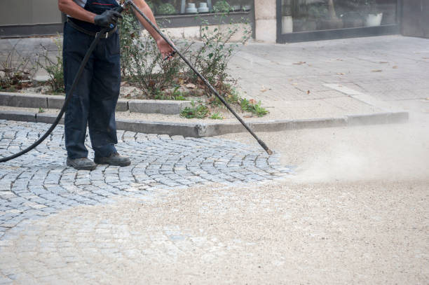 Animal Enclosure Cleaning in Waterloo, IA
